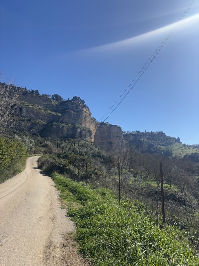 A dirt country road with a mountain in front and grass on either side in Ronda, Spain