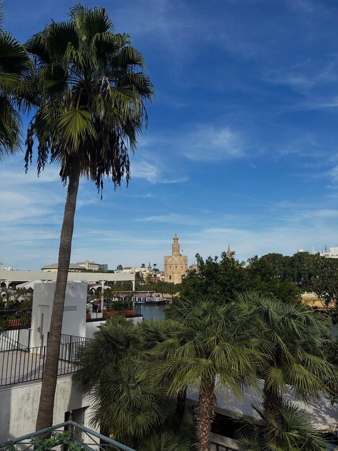 seville study abroad CIEE spain