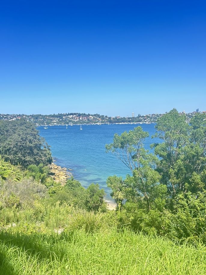sydney study abroad CIEE ocean summer