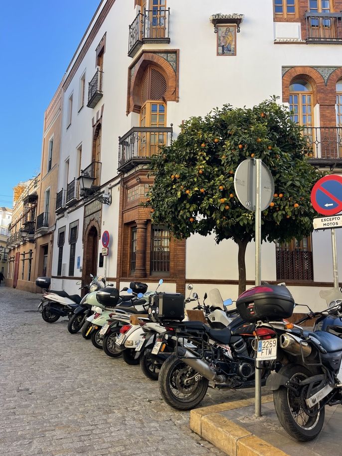 seville study abroad CIEE spain