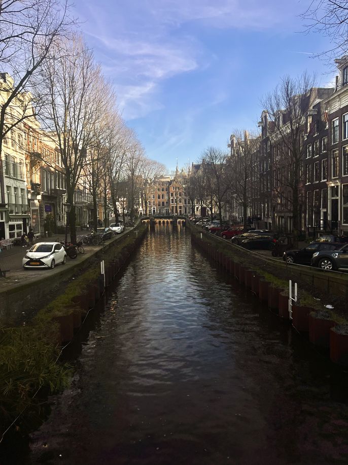 amsterdam study abroad CIEE