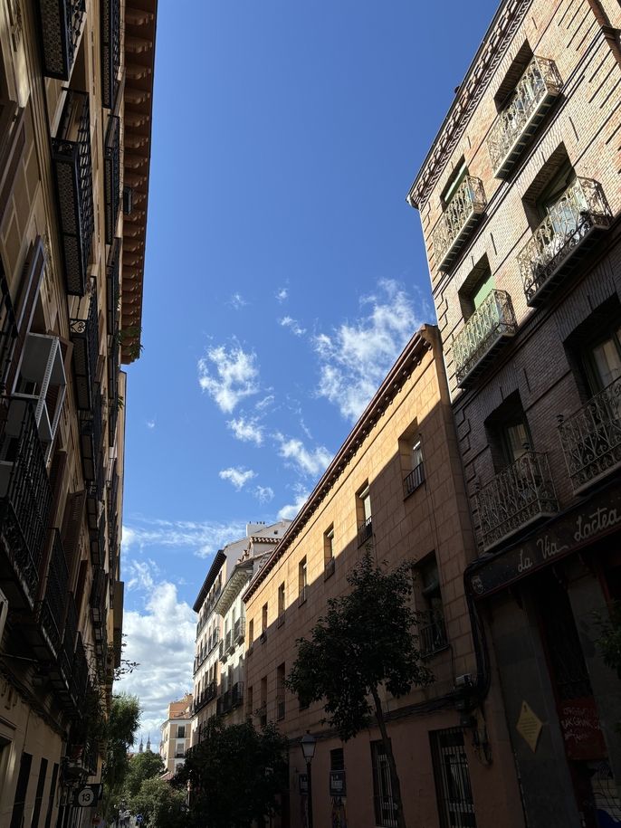 Sunny Madrid street, half in shadow.