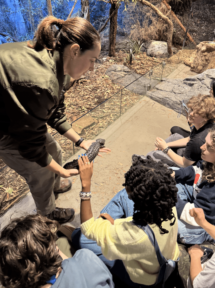 Students touching a reptile at the zoo.