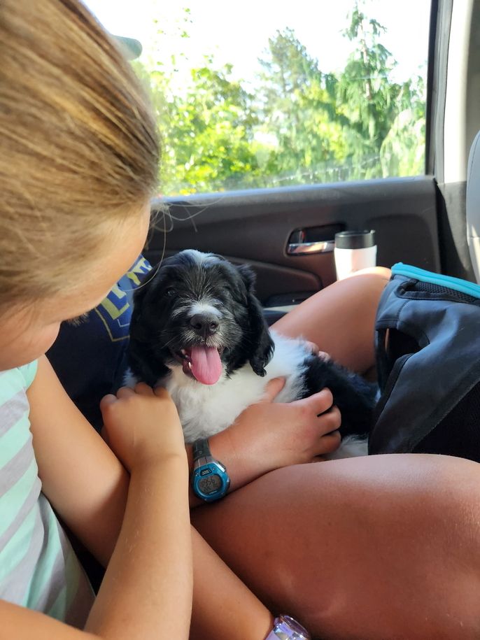 Our New Puppy! 