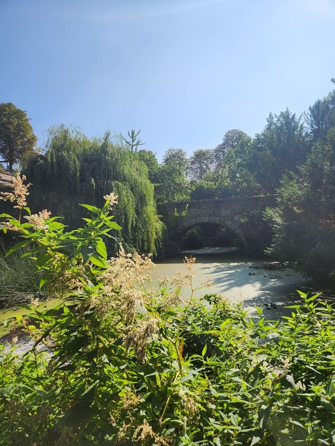 City Park