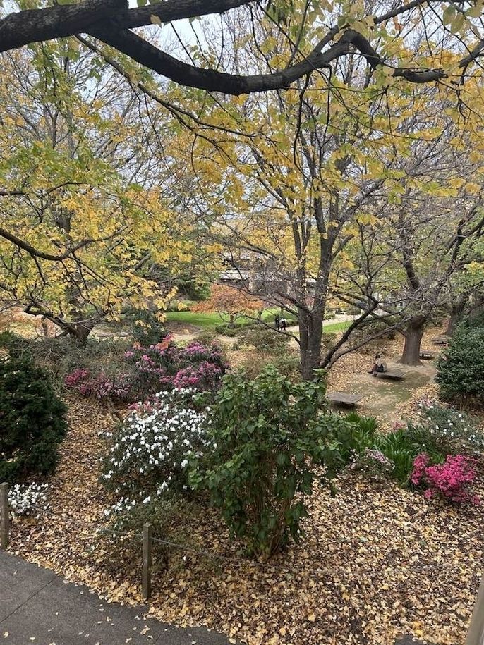 Gardens