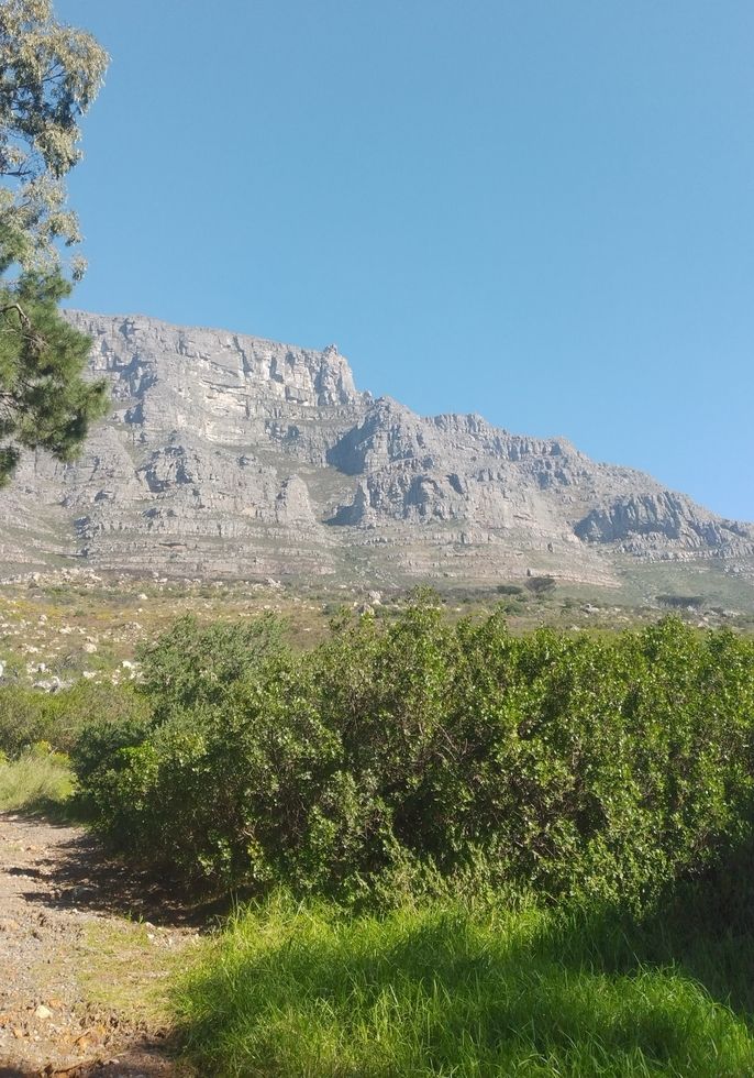 Looking up at Table Mountain