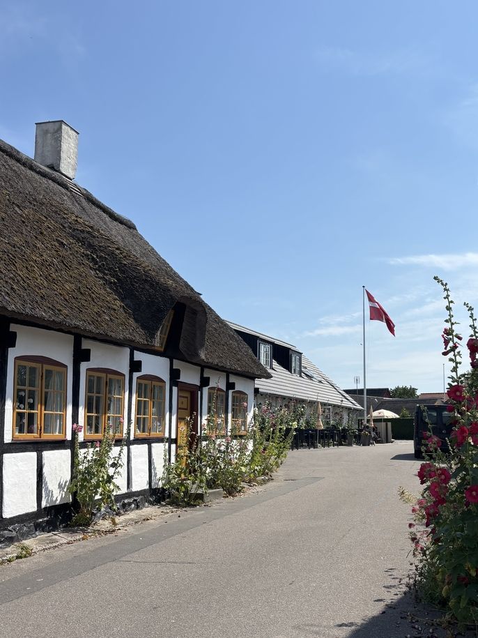 House and Dannebrog in Samsø