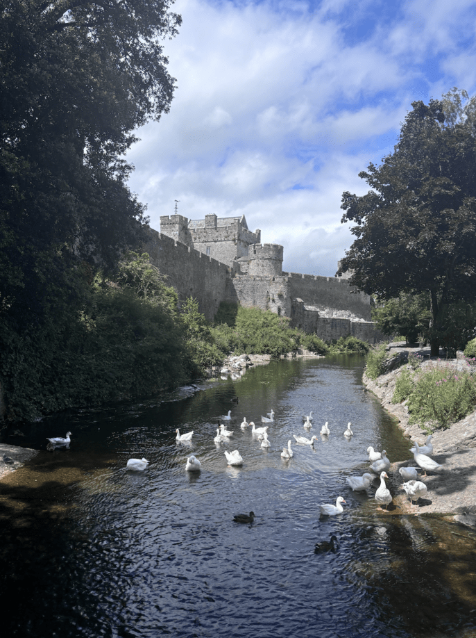 Cahir Castle