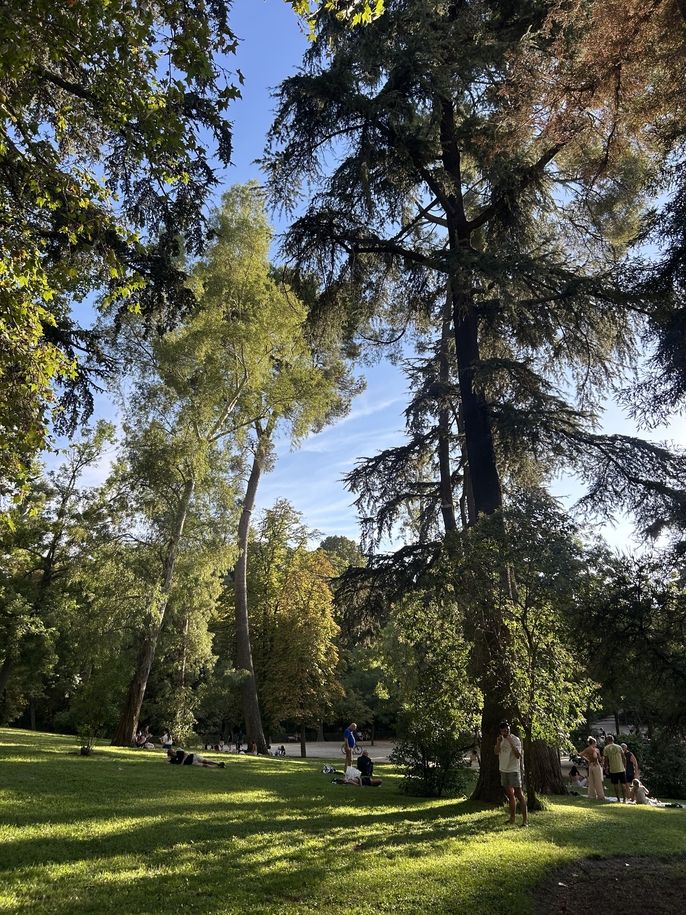 park