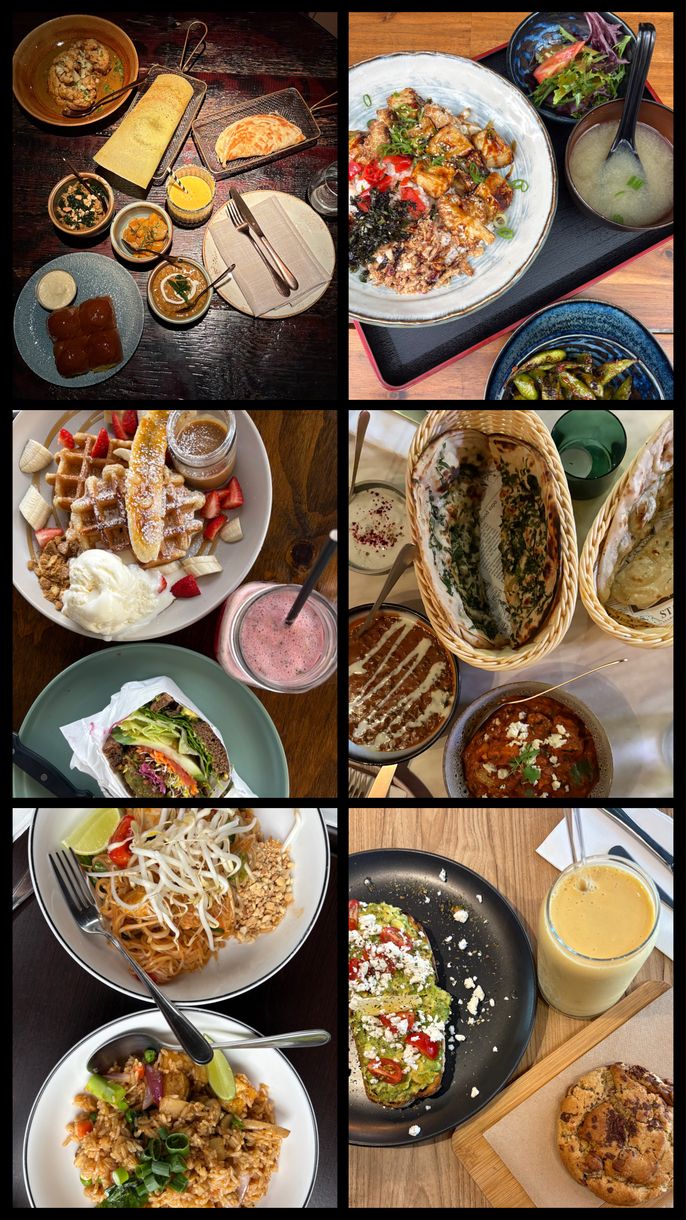 sydney study abroad CIEE food