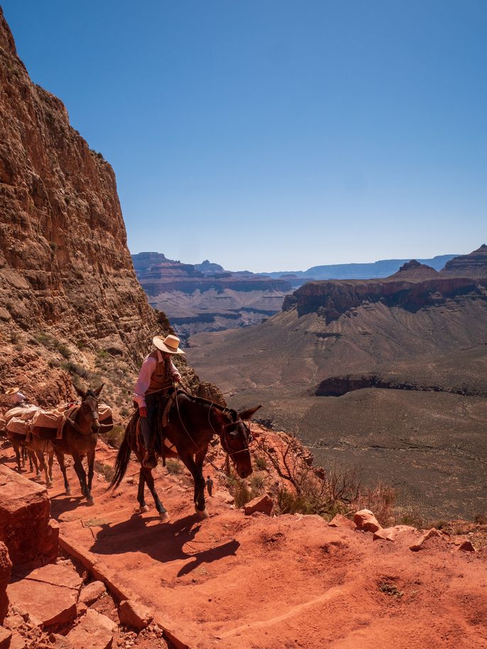Emmanuel rode a horse through the Grand Canyon.