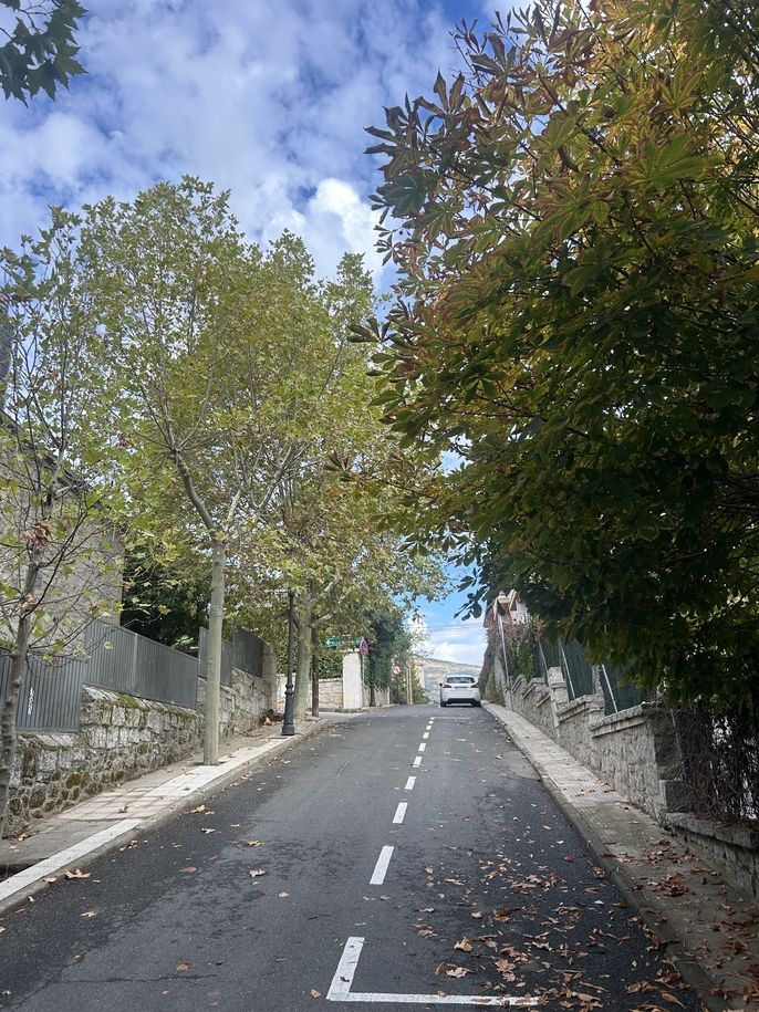 El Escorial view