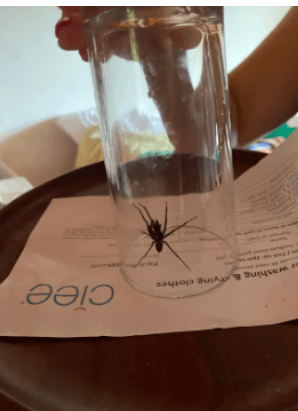 student in costa rica