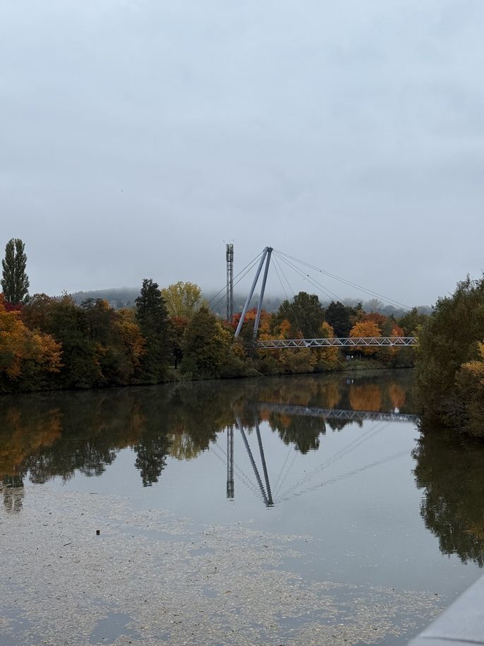 Leaves changing color in Germany