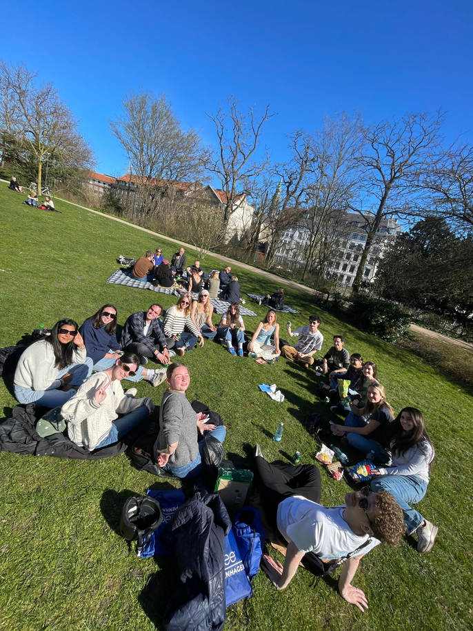 Enjoying the Danish sun with yummy cake and a game of kings game 