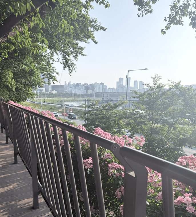 Scenic Image of Korea