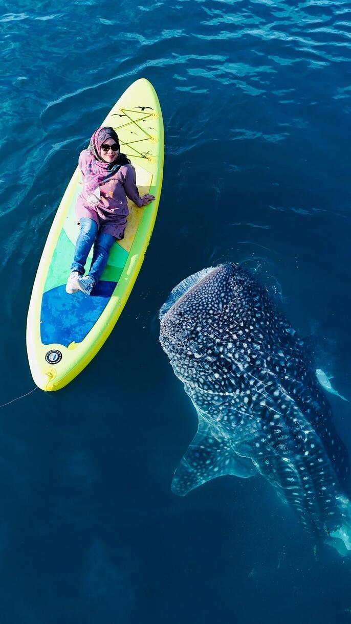 Swimming with Whale
