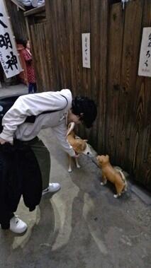 with dog