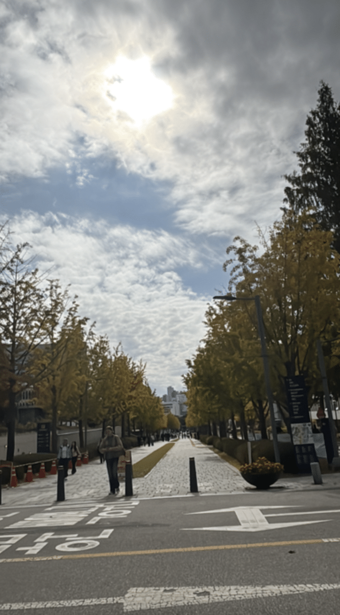 Picture on the Main walkway at Yonsei University. The sun is brightly shining through clouds and the trees that line the pathway are turning into fall colors.