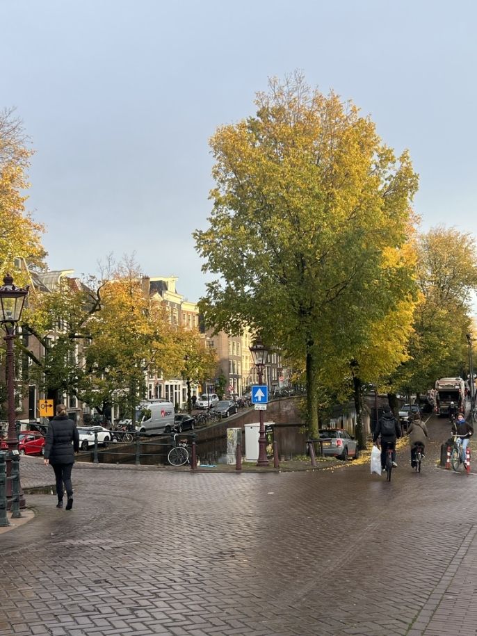 amsterdam foliage