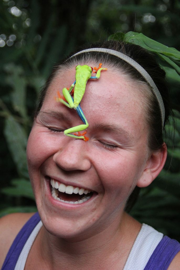 monteverde-costa-rica-frog-on-pax.jpg