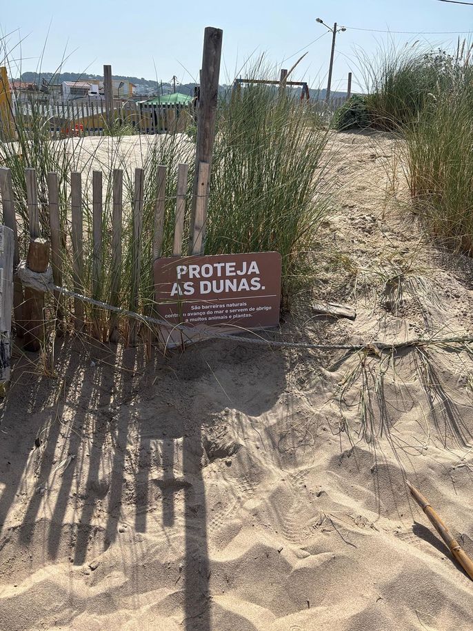Dune restoration sign on beach in Lisbon