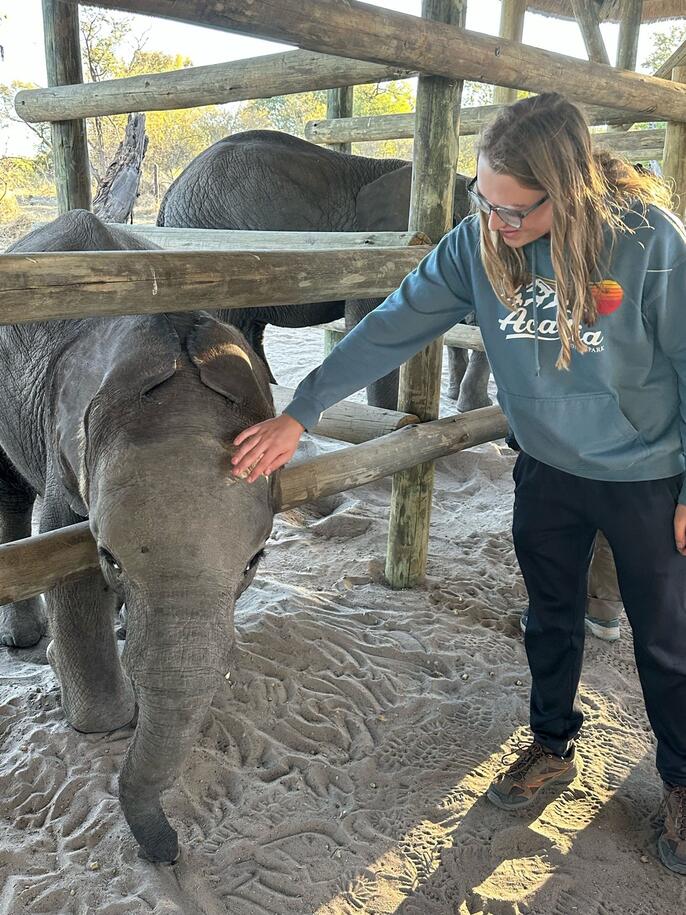 hssa-gabarone-student-petting-an-elephant.jpeg