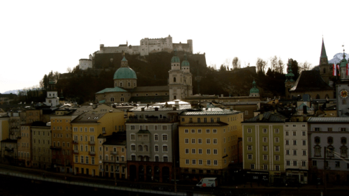 IMG_8859