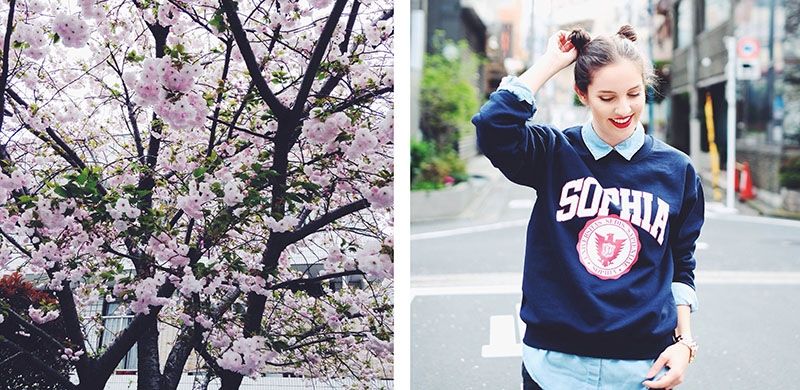 Sophia-Sweatshirt+-cherry-blossoms