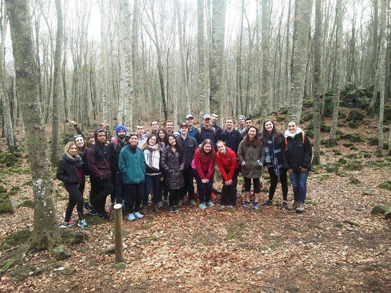 Foto Fageda 4