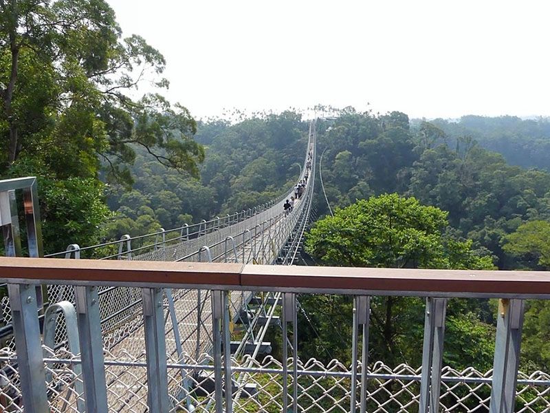 Martine CIEE Bridge