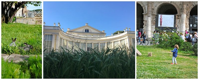 Greenery around Rome