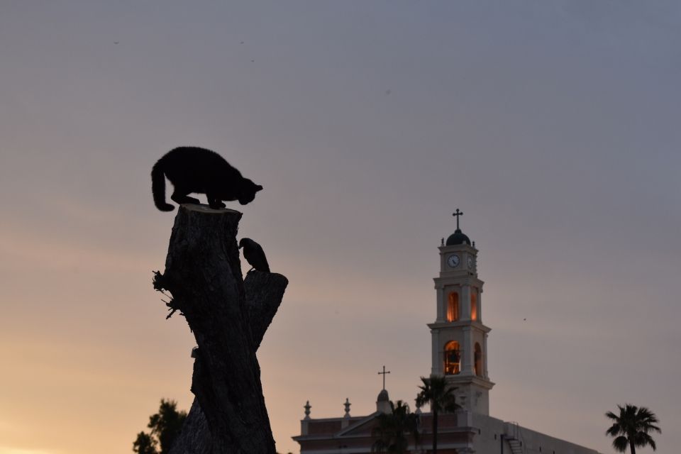 Photo for blog post Our Day Trip in Tel Aviv- Jaffa by Meghan Curran