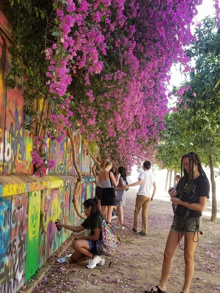Photo for blog post The joys of Summers in Sevilla!