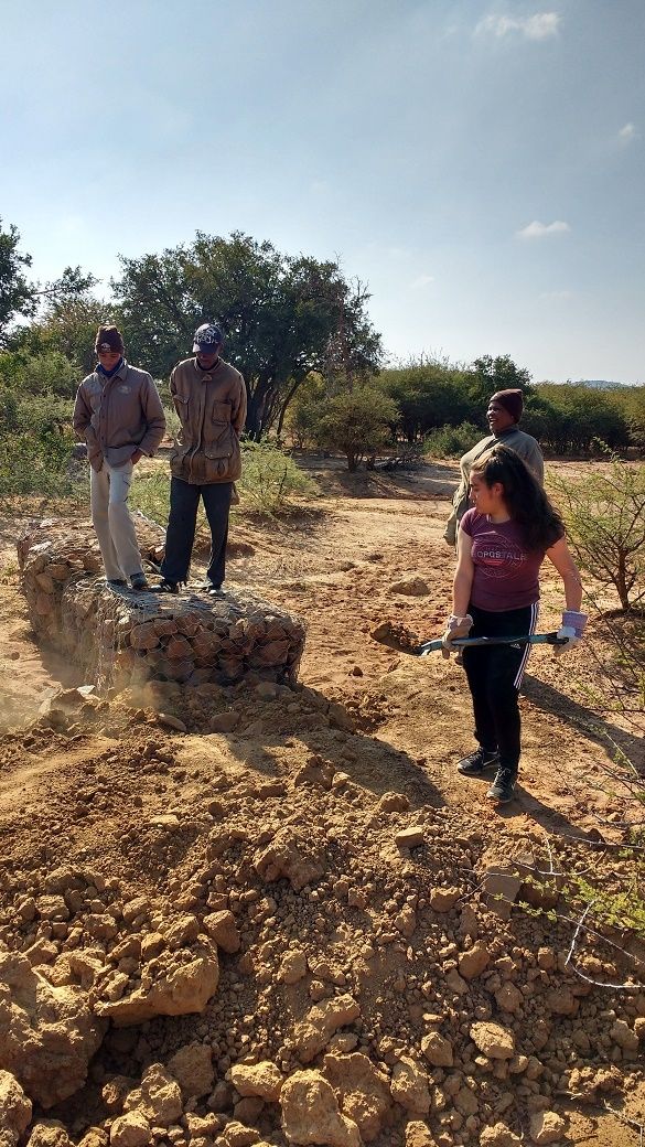 Photo for blog post Tackling the Bush and Erosion in Mokolodi Nature Reserve