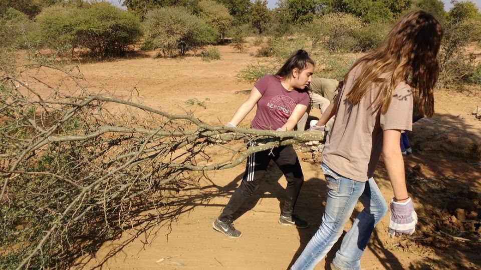 Photo for blog post Tackling the Bush and Erosion in Mokolodi Nature Reserve