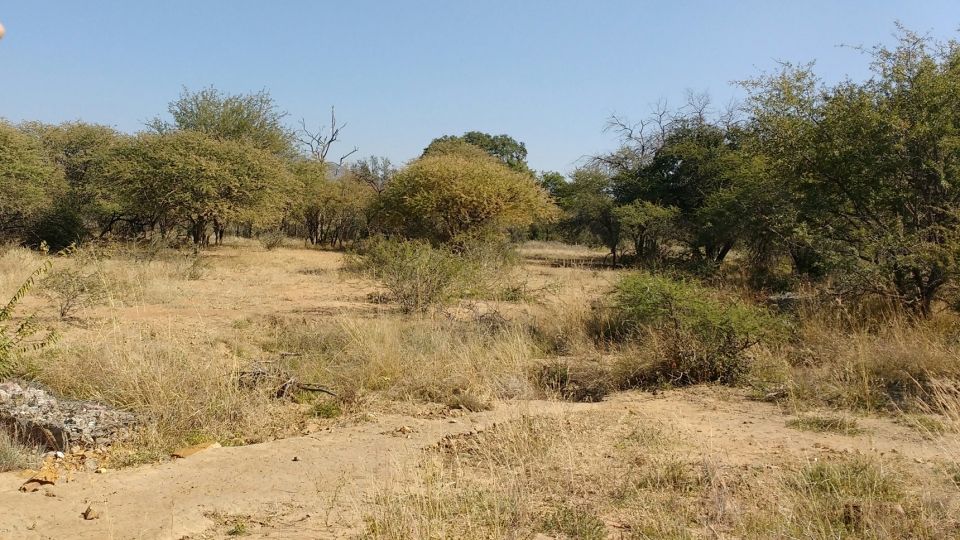 Photo for blog post Tackling the Bush and Erosion in Mokolodi Nature Reserve