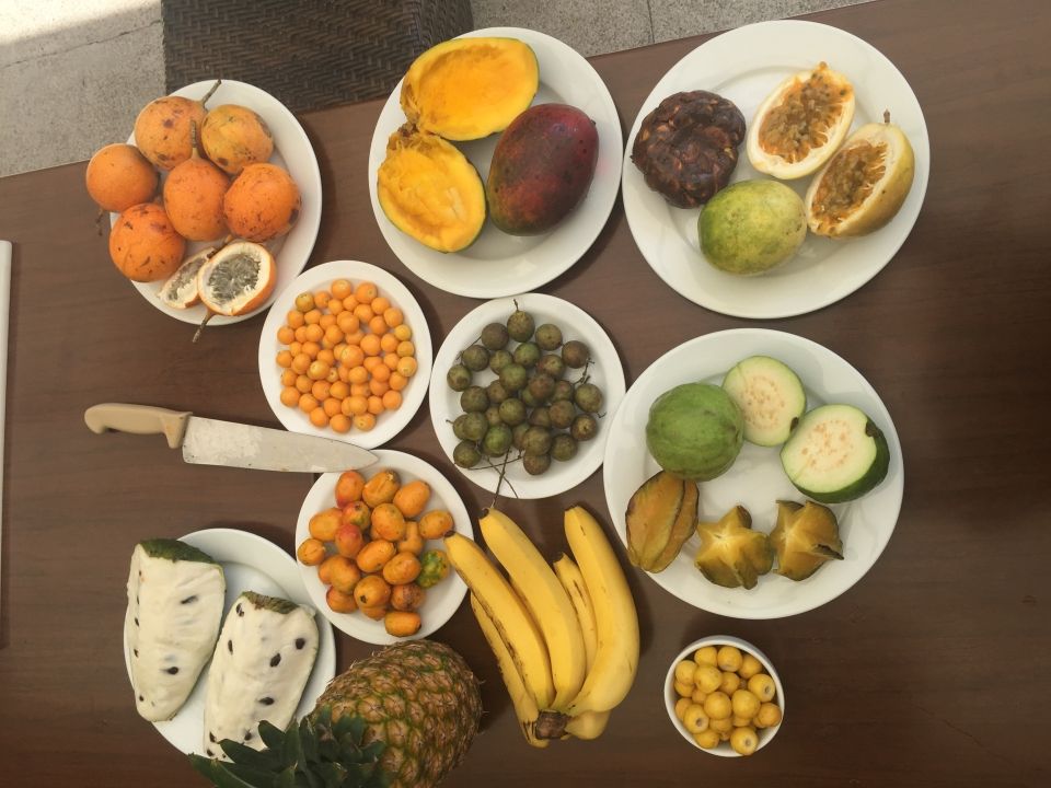 Photo for blog post Tropical Biodiversity Day 1!
