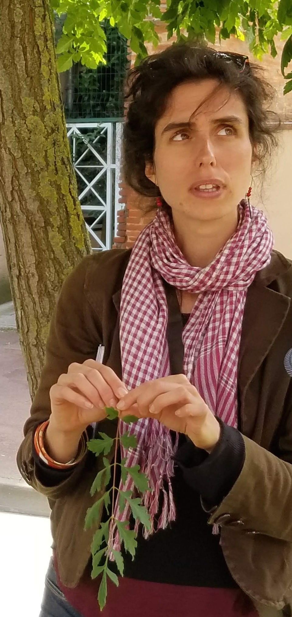 Photo for blog post Toulouse Tree Talk with Mathilde