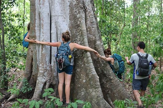 Photo for blog post Arts-Based Environmental Education Internship in Costa Rica