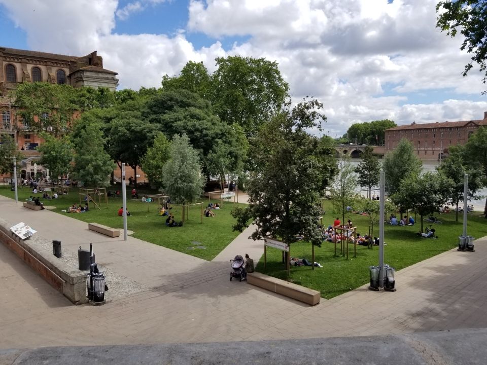 Photo for blog post Toulouse Tree Talk with Mathilde