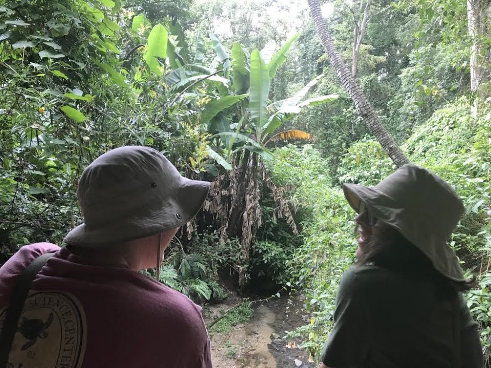 Photo for blog post Tropical Biodiversity Day 1!