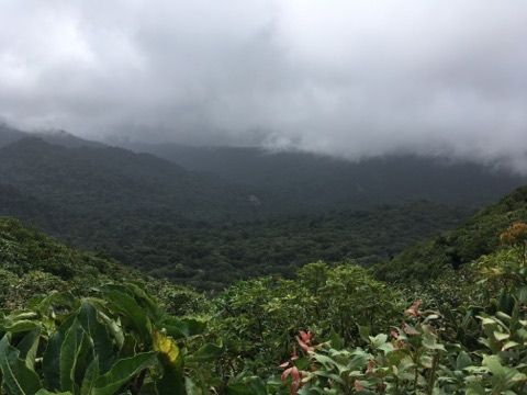 Photo for blog post Monteverde: Sustainability Hub