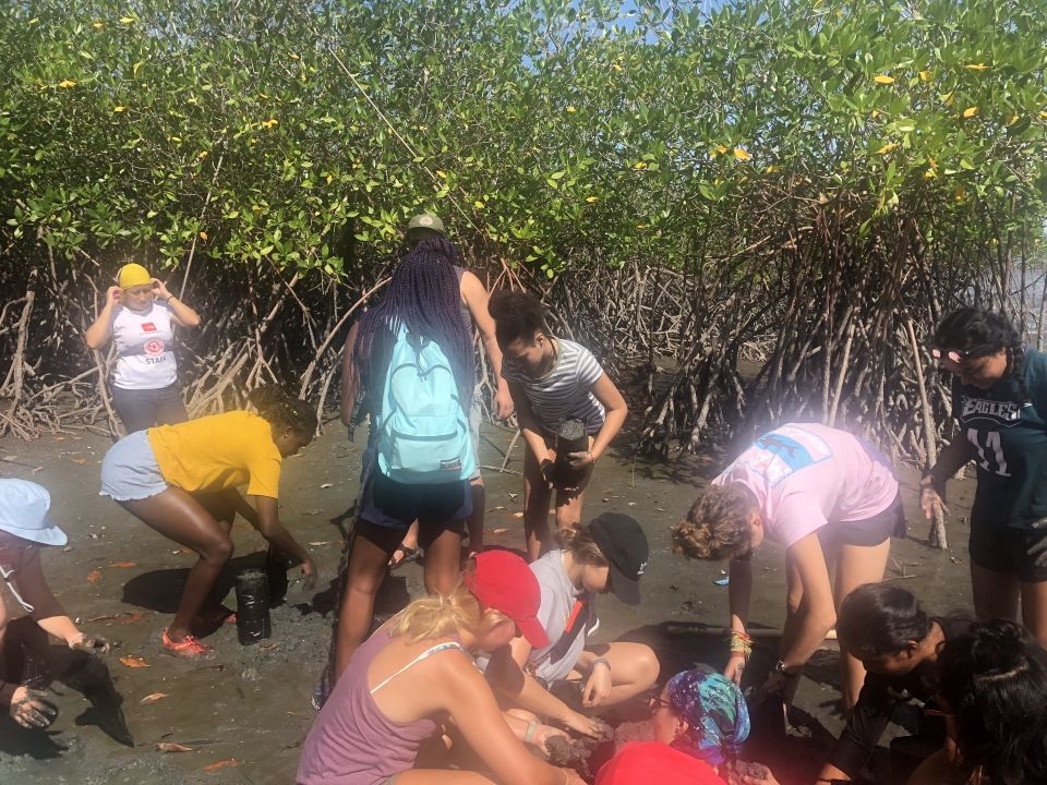 Photo for blog post Recap of Chira Isle