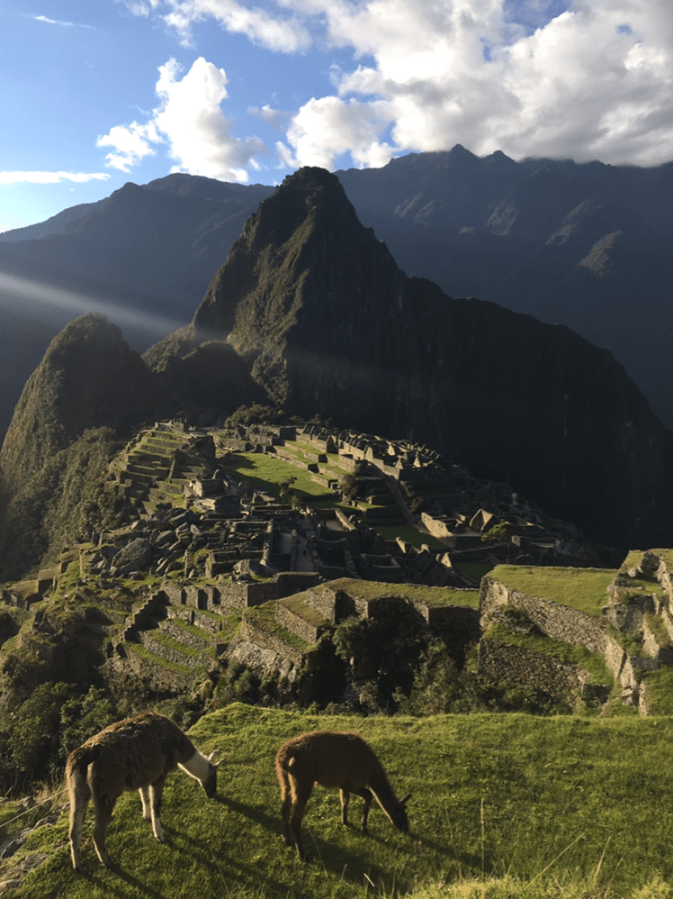 Photo for blog post Over the Train Tracks, Through the Mountains...To Machu Picchu!