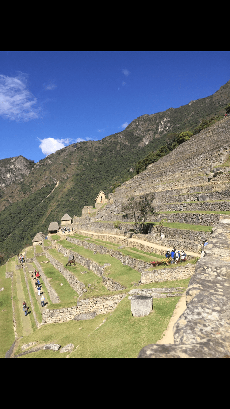 Photo for blog post Over the Train Tracks, Through the Mountains...To Machu Picchu! 