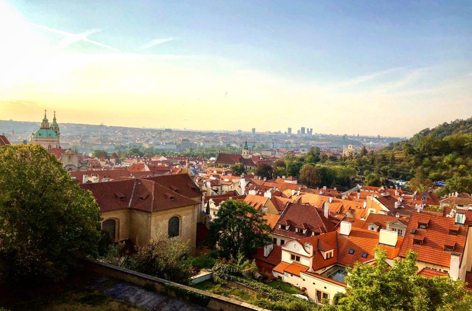 Photo for blog post Czech Newbie