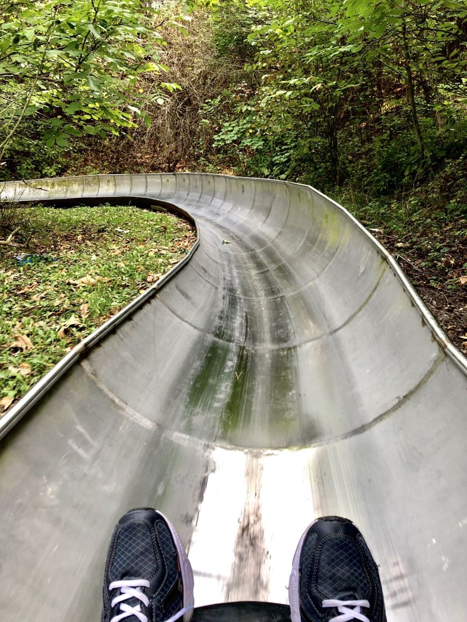 Photo for blog post Bones, Bones, More Bones... and Bobsledding