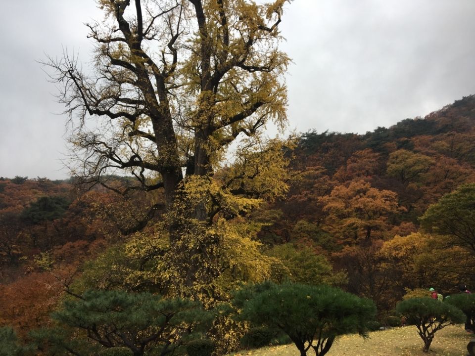 Photo for blog post 용문산 식당 (Yangmunsan Temple)